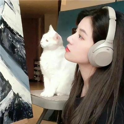圣诞星